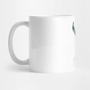 Narcissus Mug